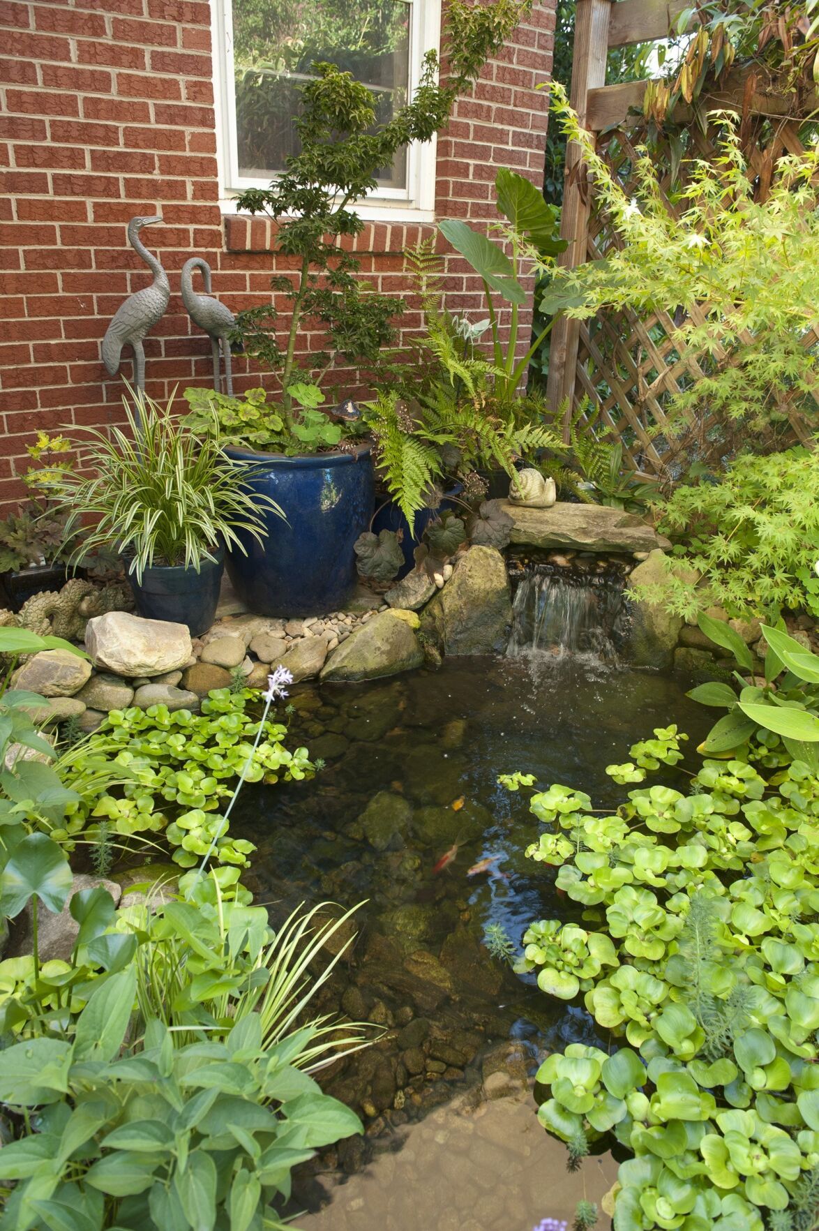 Timothy Day garden